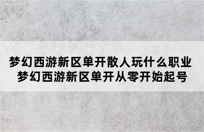 梦幻西游新区单开散人玩什么职业 梦幻西游新区单开从零开始起号